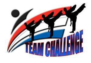 Team Challenge 2013