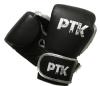 PTK Boxing Gloves
