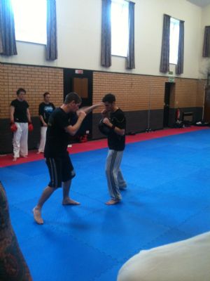 HITCHIN DOJANG HOST PRO-TAEKWON WORKSHOP