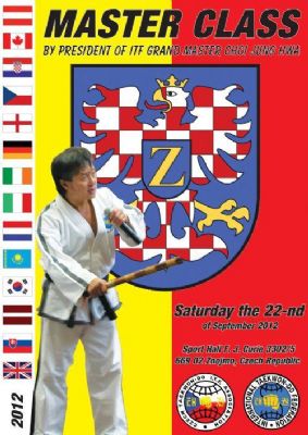 Master Choi in Znojmo (Czech Republic)