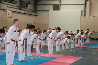 Gassor's Tournament Team win 23 medals at the Irish Kup Cup 2013!!!