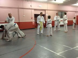 Active Taekwon Do Demo Evening 