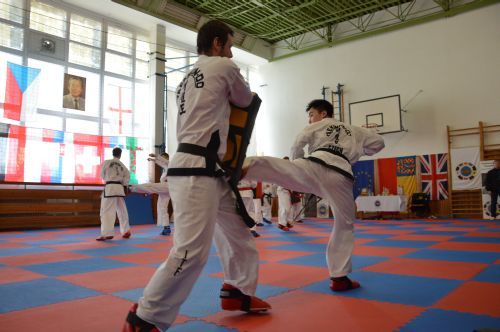 7th Internationl Master Class with  Master Trevor Nicholls in Czech Republic