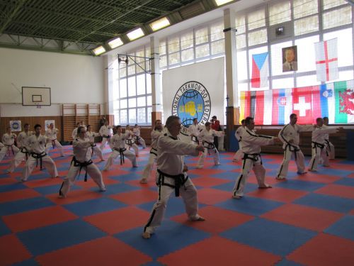 7th Internationl Master Class with Master Trevor Nicholls in Czech Republic