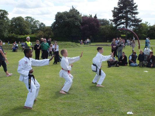 Yiewsley TKD Attend Canival in the Park